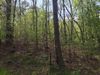 2 Indian Forest Rd photo